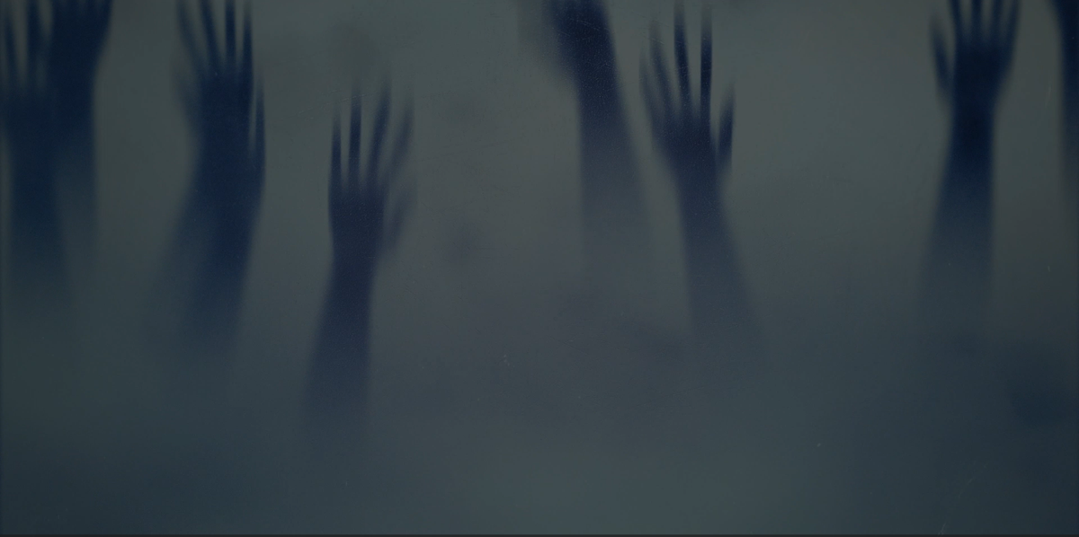 Entropathic Visions