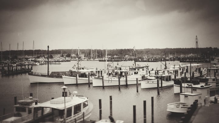2017 Chesapeake Bay Buyboat Show