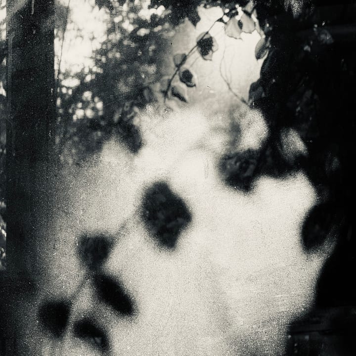 Dirty Windows