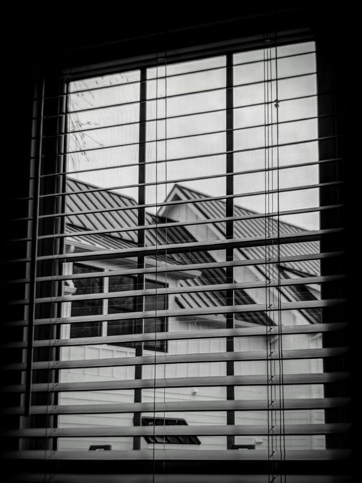 Out The Window Google Pixel 2 + Moment 60mm lens; post-processing in phone using Google Photos and Lightroom CC