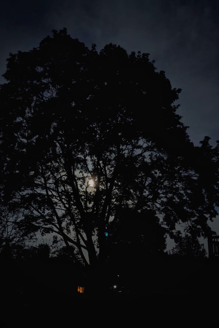 By The Light Of The Silvery Moon