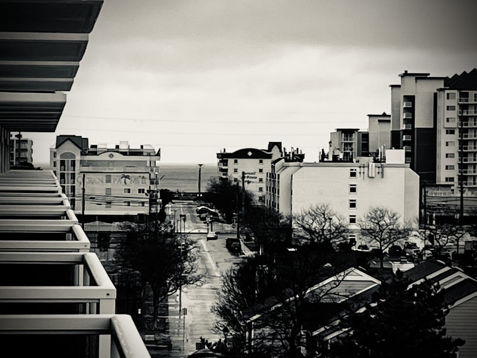 Room With a View, Last Day of Standard Time, 2022 Edition