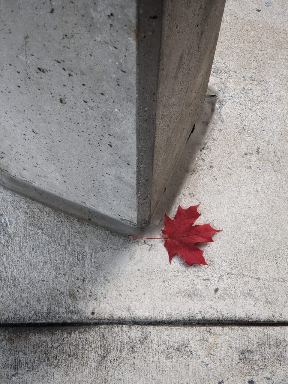 Red Leaf